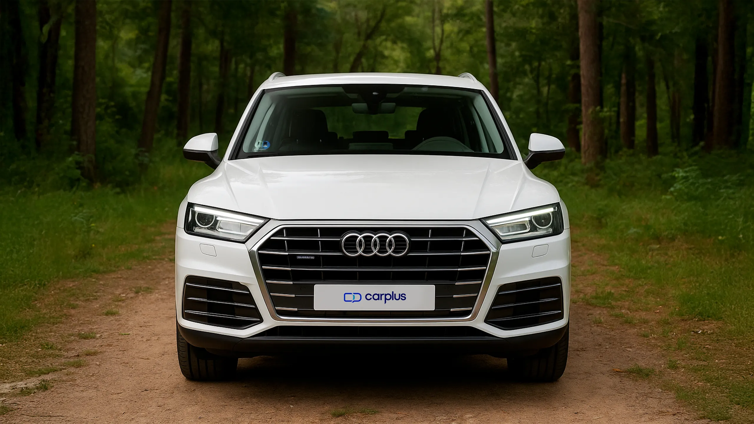 Audi Q5 de ocasión