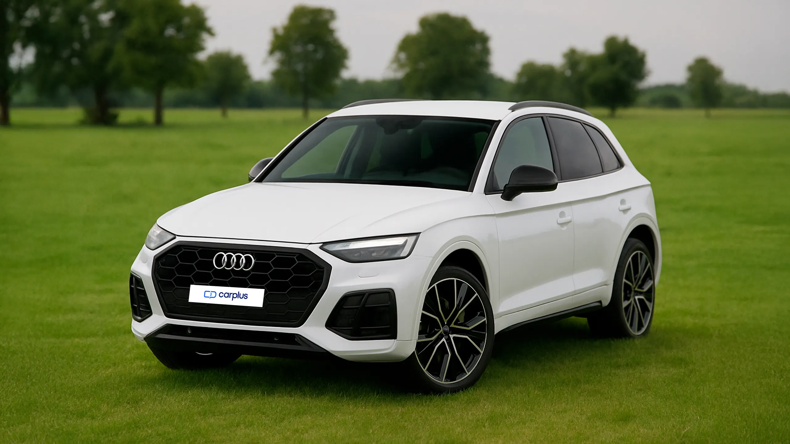 Audi Q5 de segunda mano