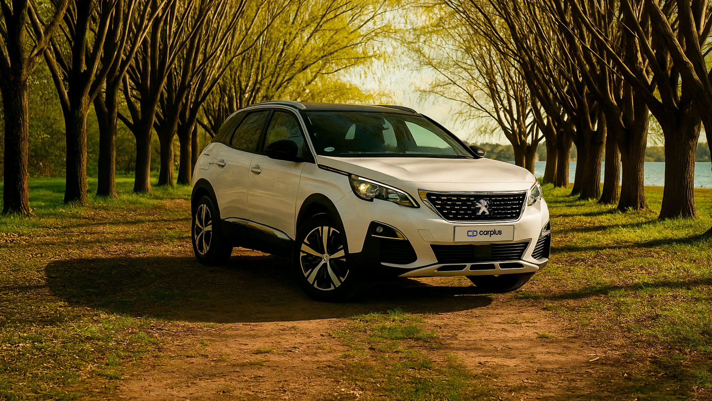 Comprar un Peugeot 3008 de segunda mano
