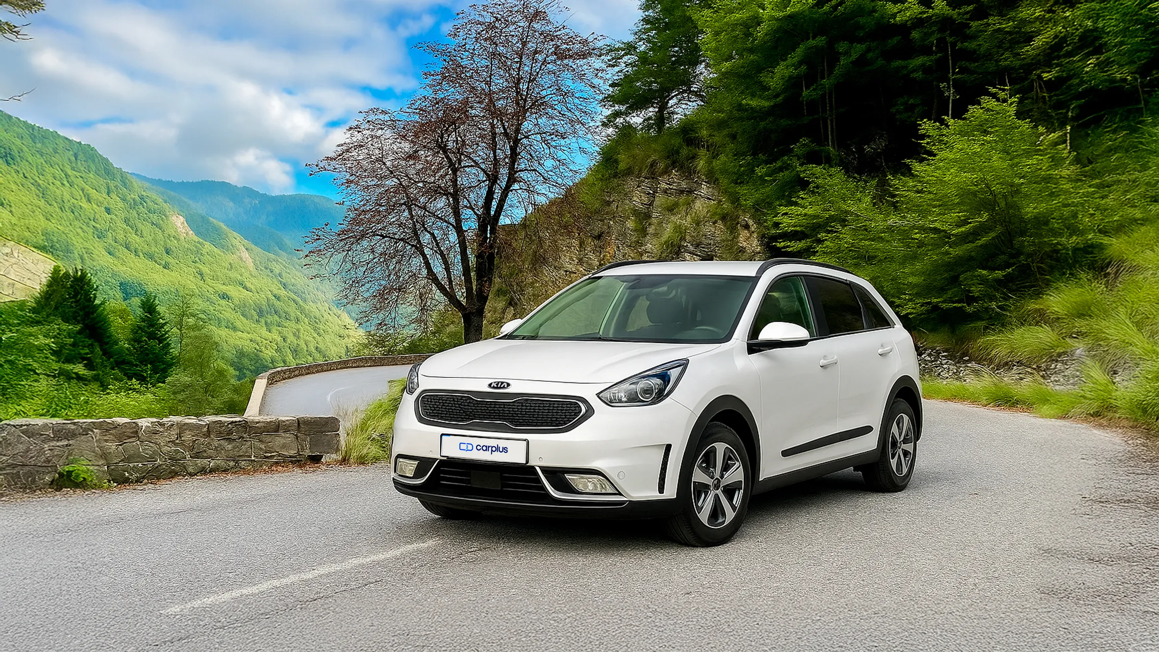KIA Niro eléctrico de segunda mano