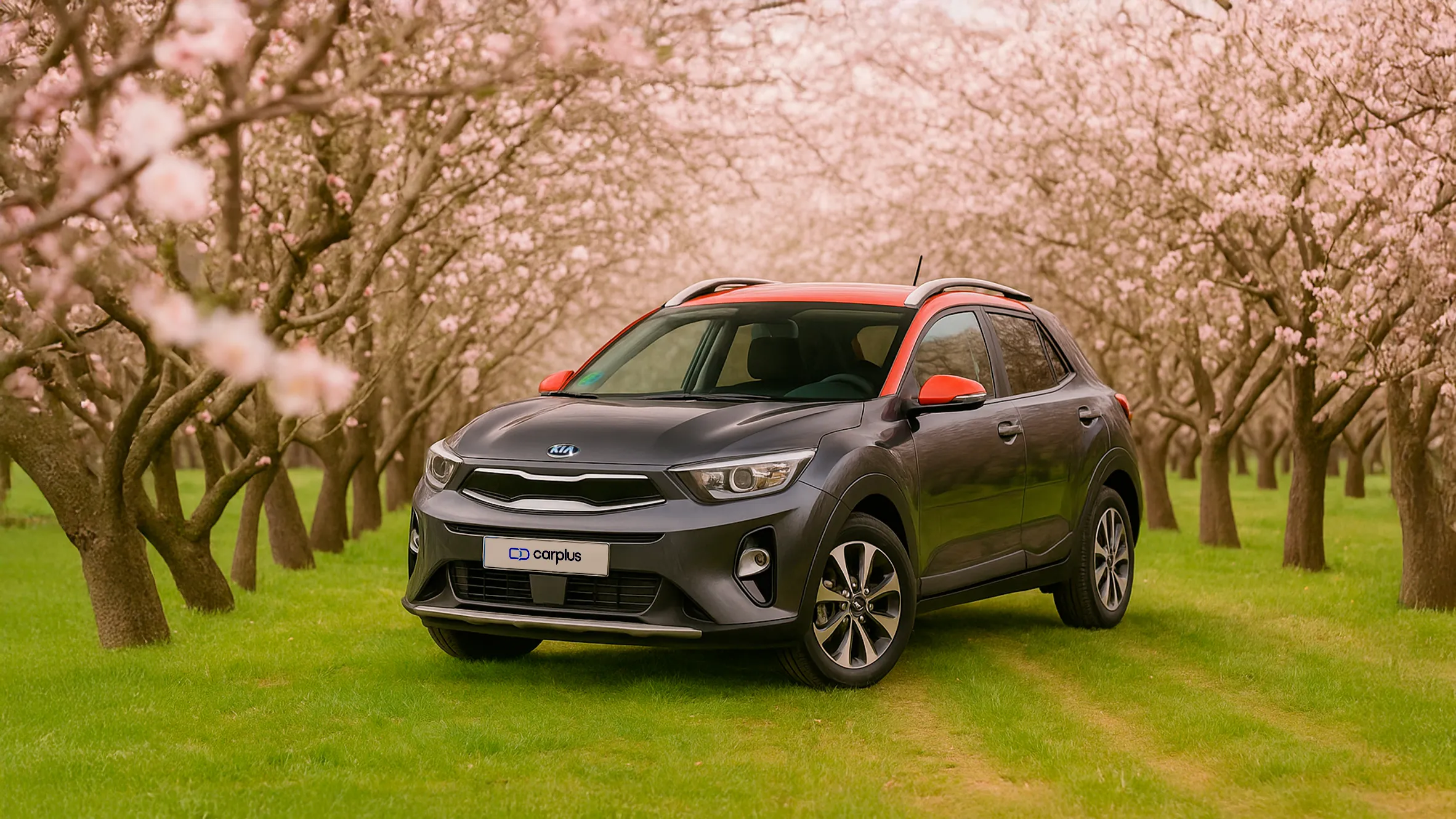 KIA Stonic seminuevo