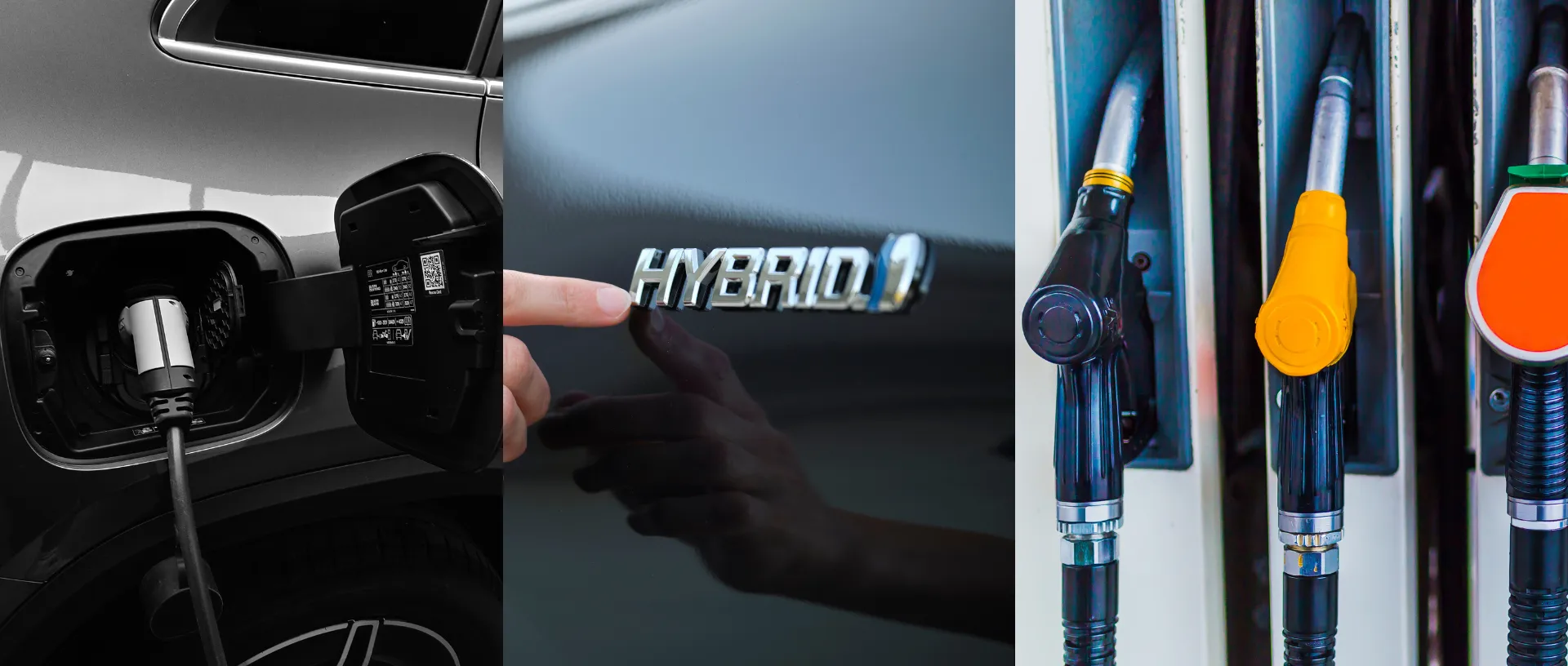 Tipos de coches según combustible Tipos de coches según combustible