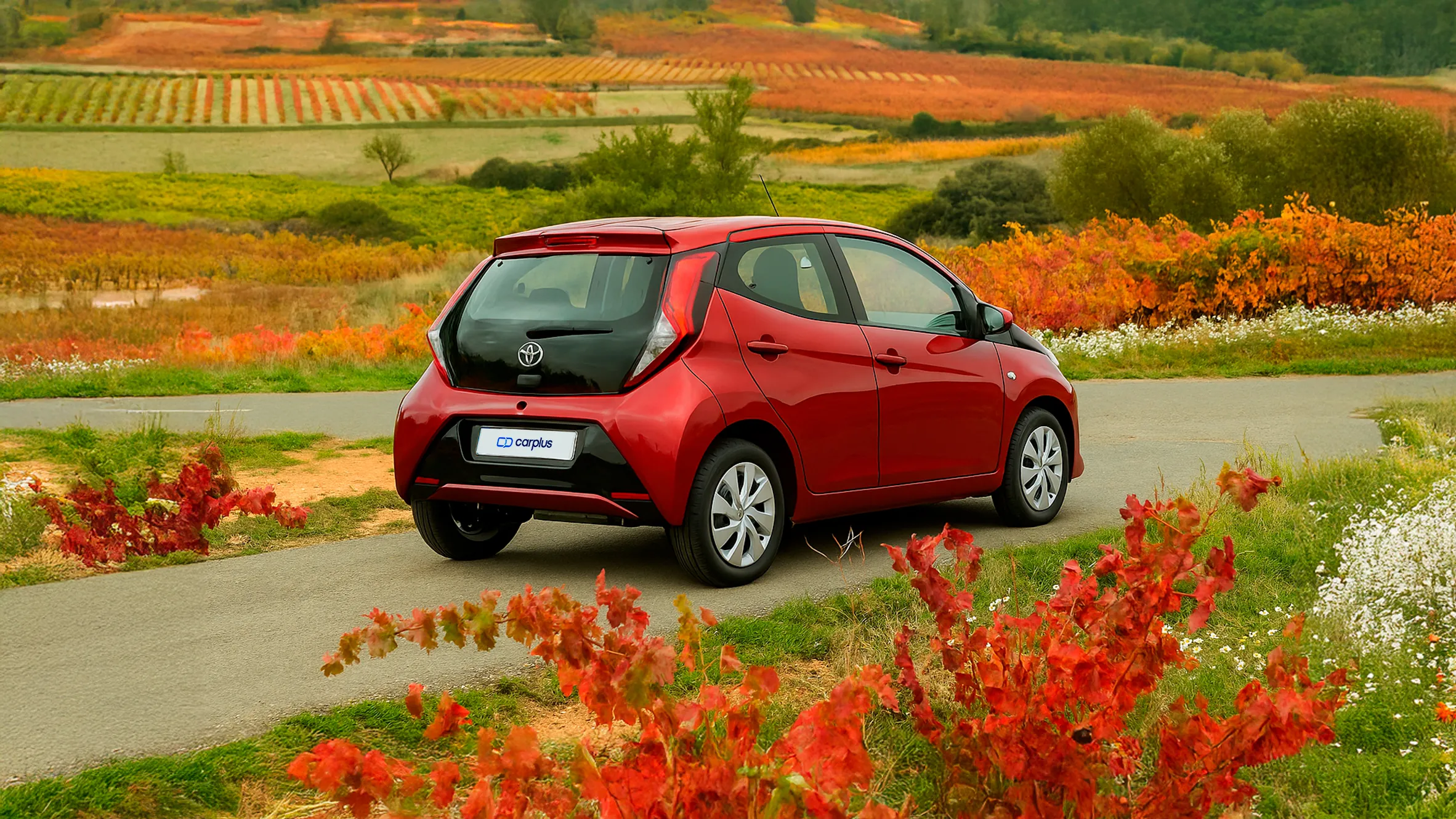 Toyota Aygo seminuevo