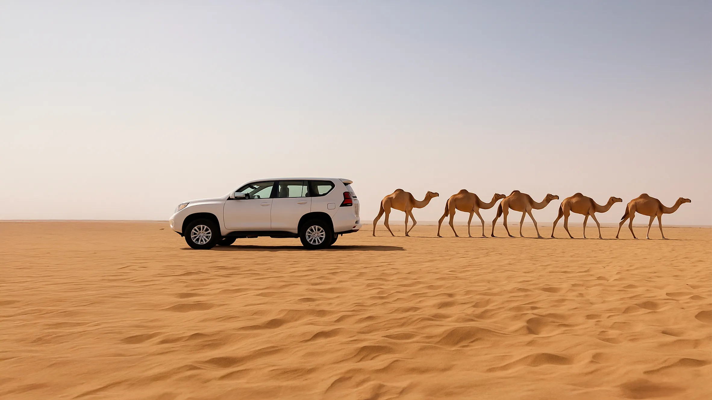 Toyota Land Cruiser seminuevo